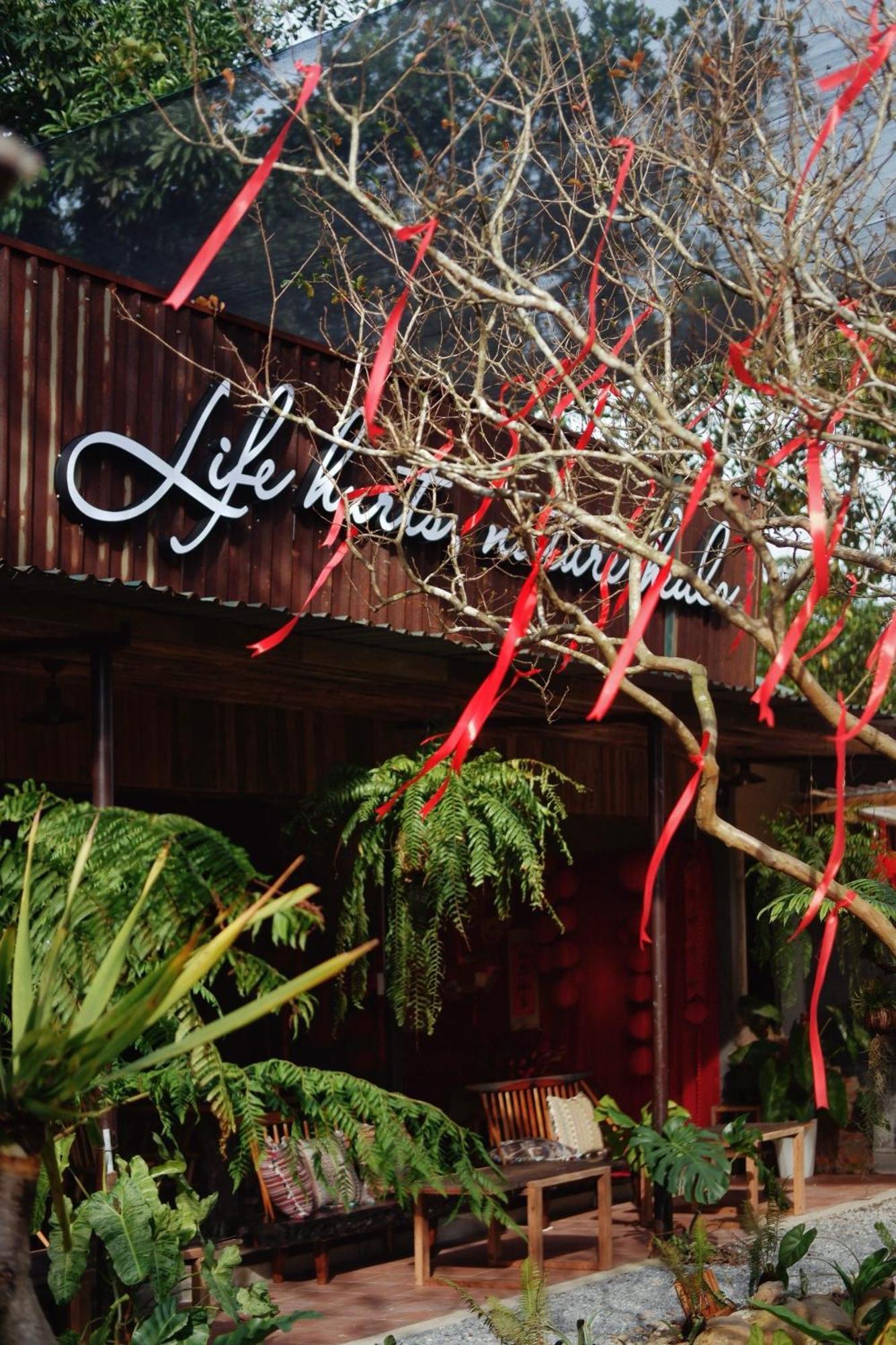 Harmony Garden - Home And Coffee Hue Exterior foto